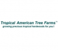 Tropical American Tree Farms